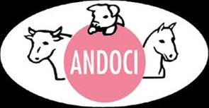 Andoci